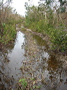 dsc00588